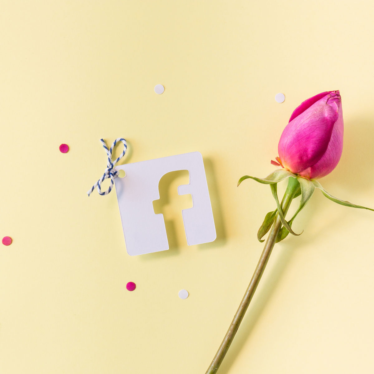 custom swing tag, hang tag, gift tag